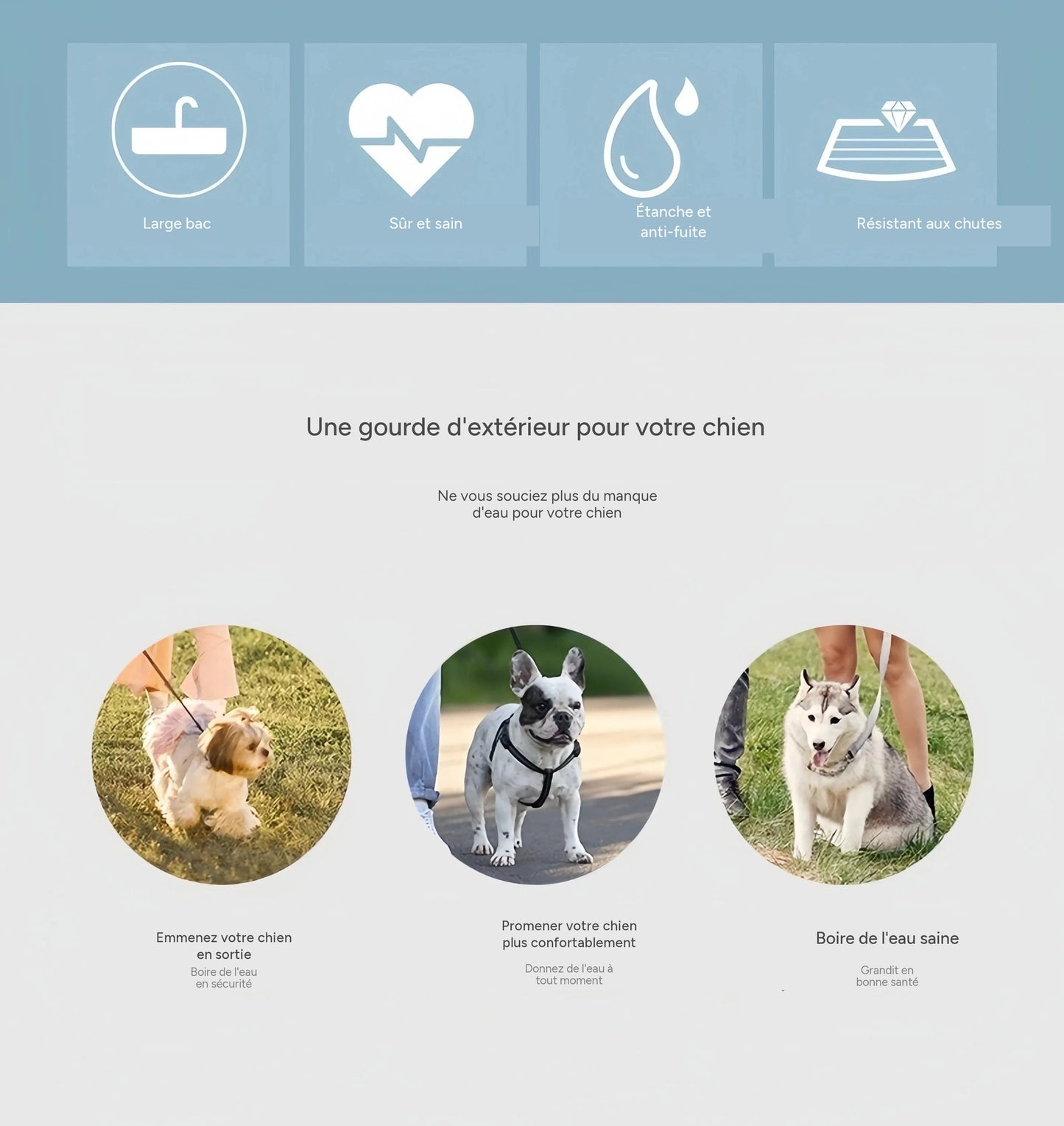 Bouteille d'eau portable 2 en 1 pour chiens et chats - voyage outdoor 14