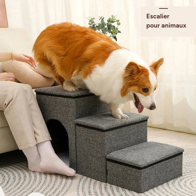 Marches pliables 3-en-1 pour chiens