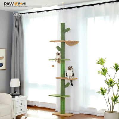 Arbre à chat à 5 niveaux du sol au plafond
