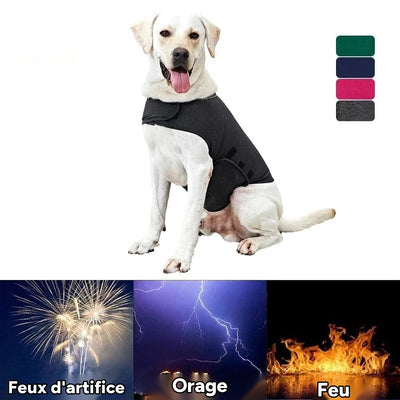 Gilet anxiete chien