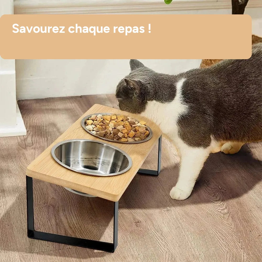 Bols sureleves pour chat, chiot, inclines anti-vomissement avec support bois