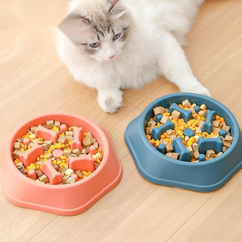 Bol slow food pour chiens et chats