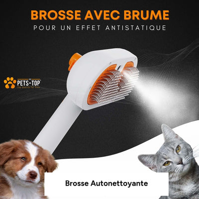 Brosse autonettoyante pour chat et petit chien