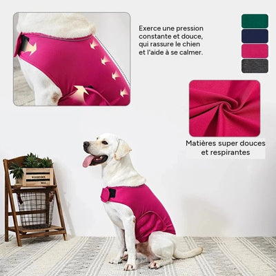 Gilet anxiete chien – vue 2