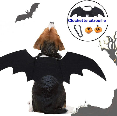 Ailes de chauve-souris canines Bell-O-Ween