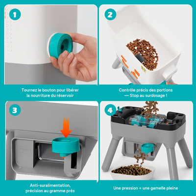 Distributeur automatique 8L pour chats et chiens