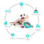 Balle magique IQ pour chiens - alimentation et divertissement – vue 2
