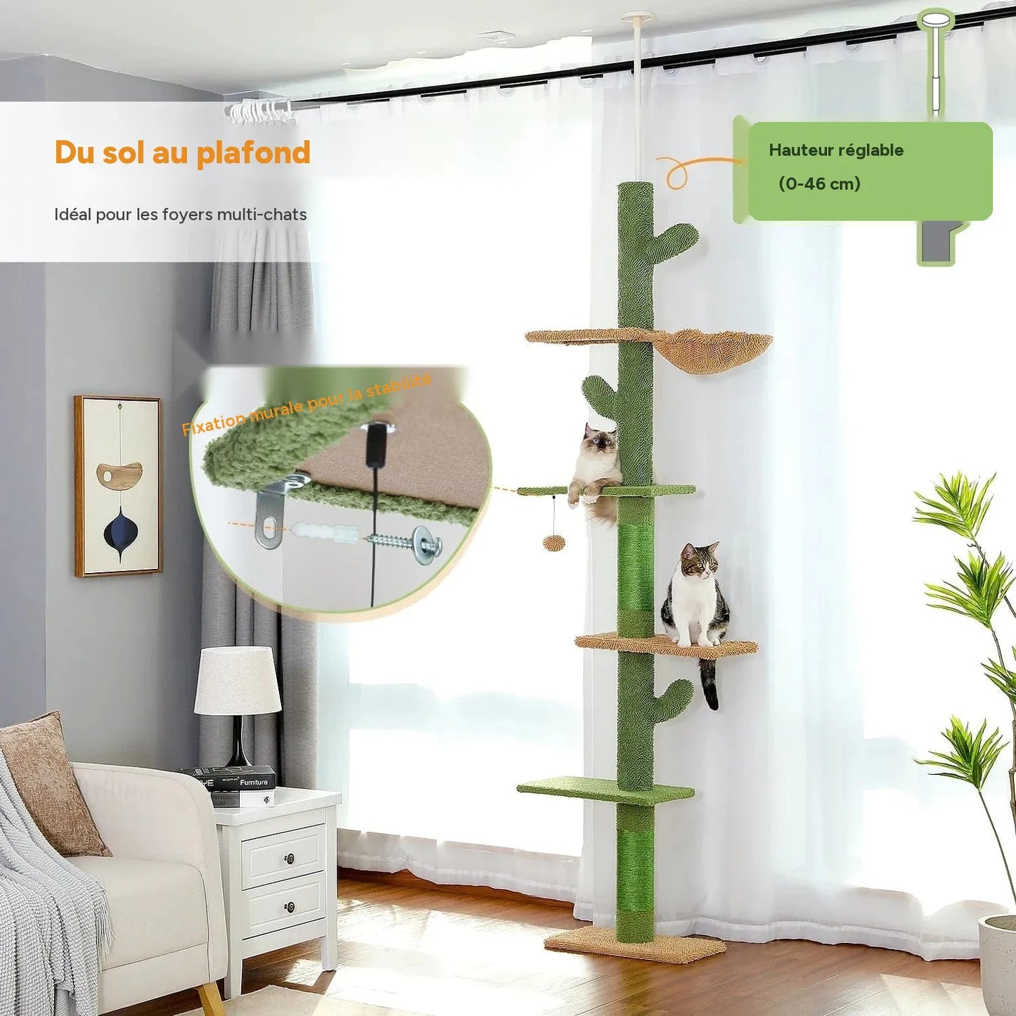 Arbre à chat à 5 niveaux du sol au plafond
