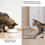 Bols sureleves pour chat, chiot, inclines anti-vomissement avec support bois – vue 2