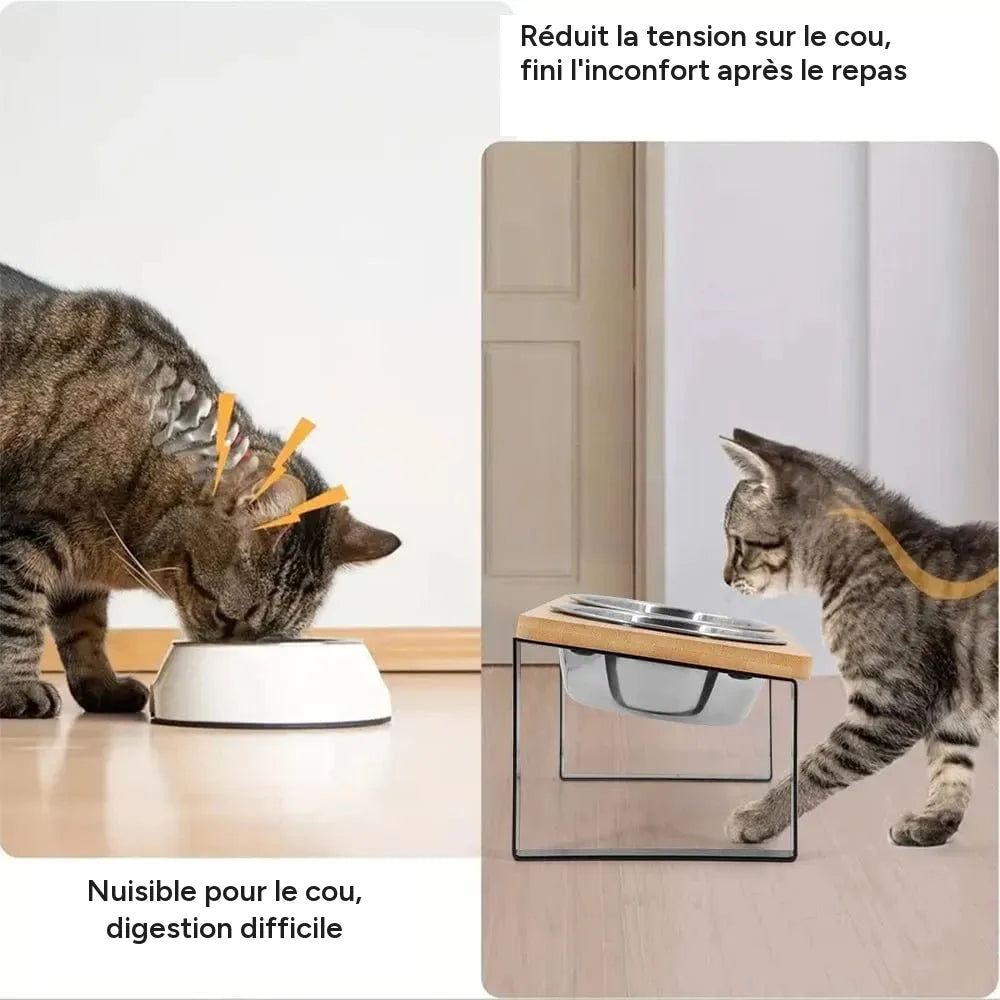 Bols sureleves pour chat, chiot, inclines anti-vomissement avec support bois – vue 2