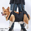 harnais de soutien pour chien mobilite et transport One Pets Top