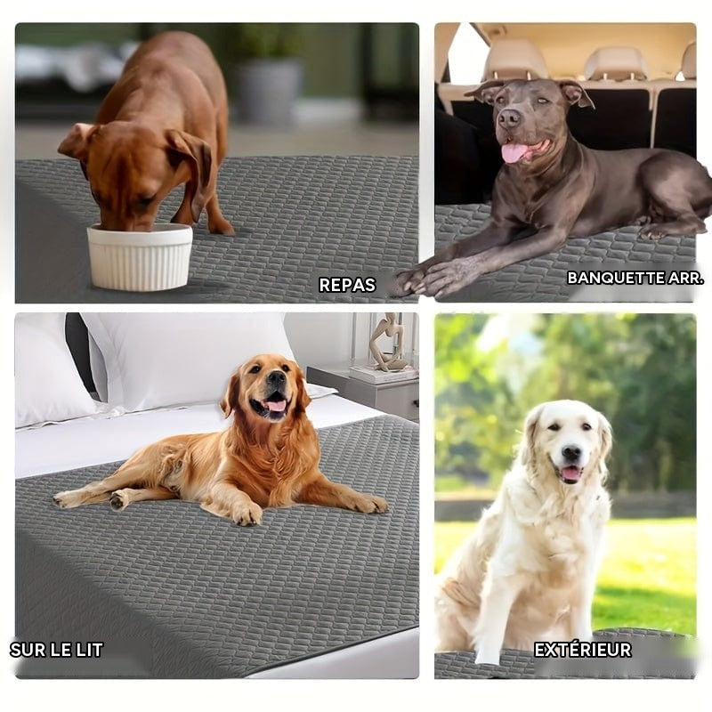 Couverture chien anti rayures