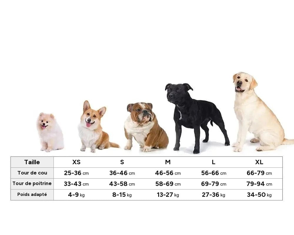 Gilet anxiete chien – vue 3