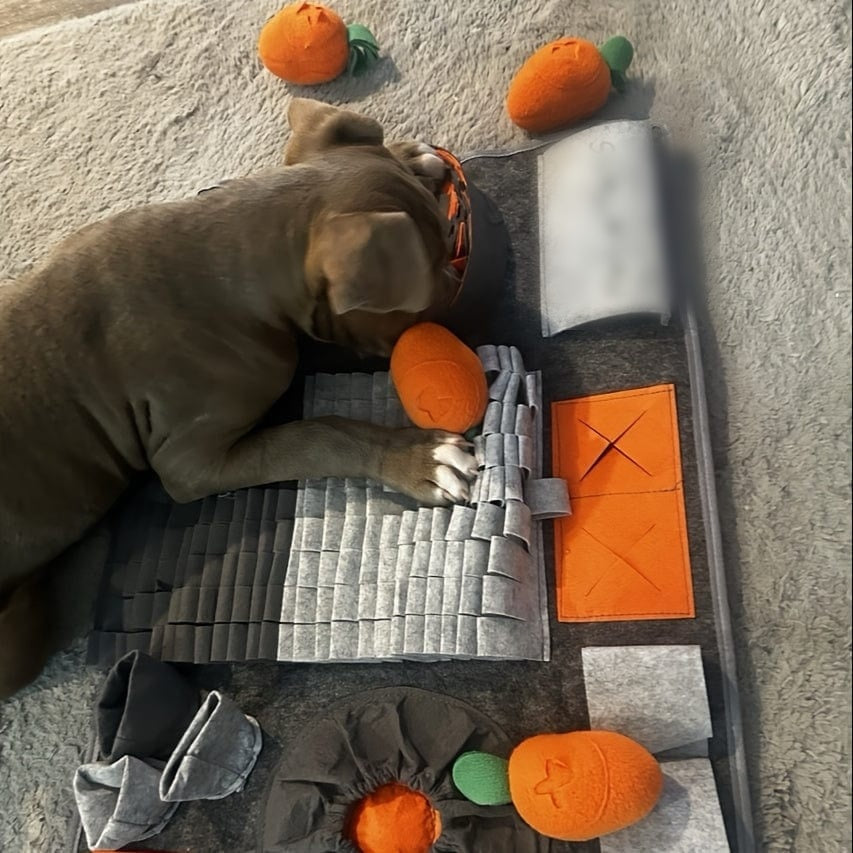 Tapis de fouille interactif XXL pour chien – Dressage, jeu & récompenses – One PETS-TOP – vue 3