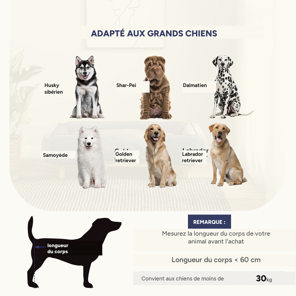 Canapé premium pour grand chien, lit surélevé, coussin lavable
