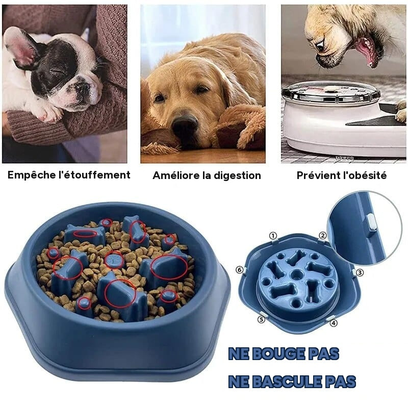 Bol slow food pour chiens et chats