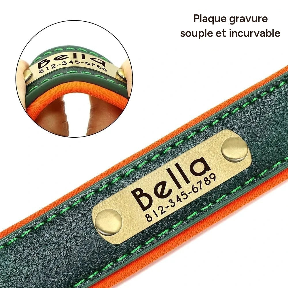 Collier en cuir personnalise pour chien avec plaque gravee nom telephone
