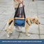 Harnais de soutien chien âgé – Aide marche & récupération - One PETS-TOP – vue 5