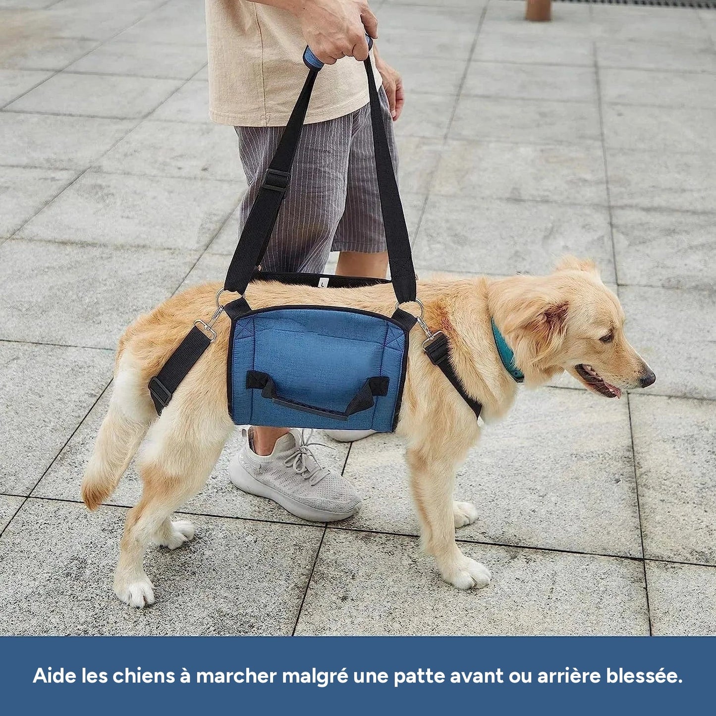 Harnais de soutien chien âgé – Aide marche & récupération - One PETS-TOP – vue 5