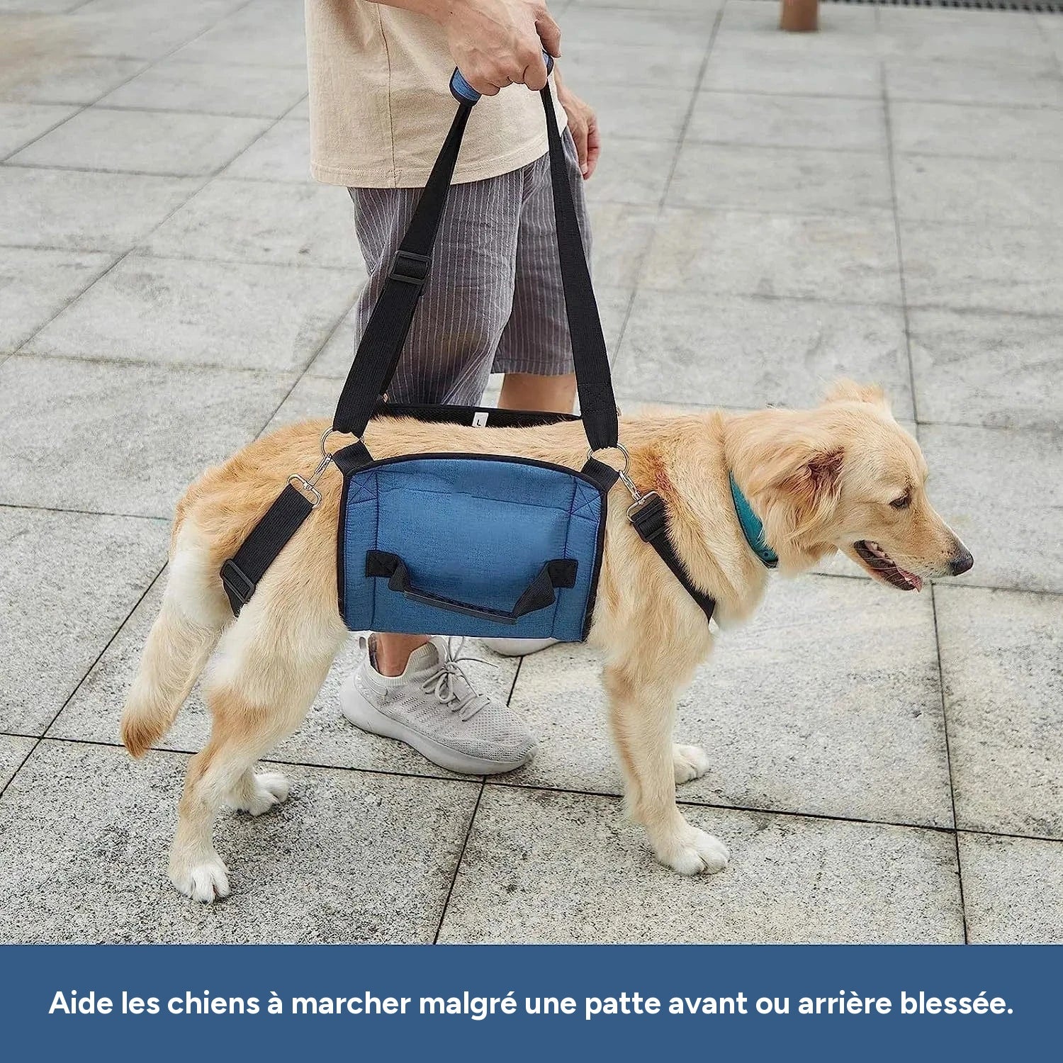 Harnais de soutien chien âgé – Aide marche & récupération - One PETS-TOP – vue 5