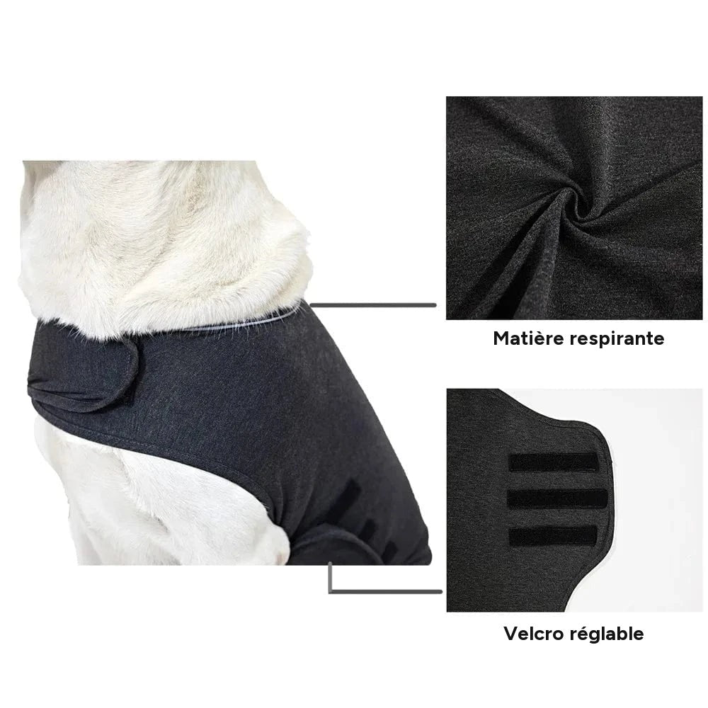 Gilet anxiete chien – vue 5