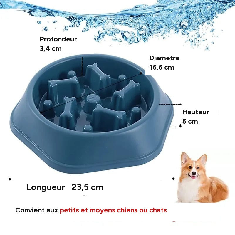 Bol slow food pour chiens et chats