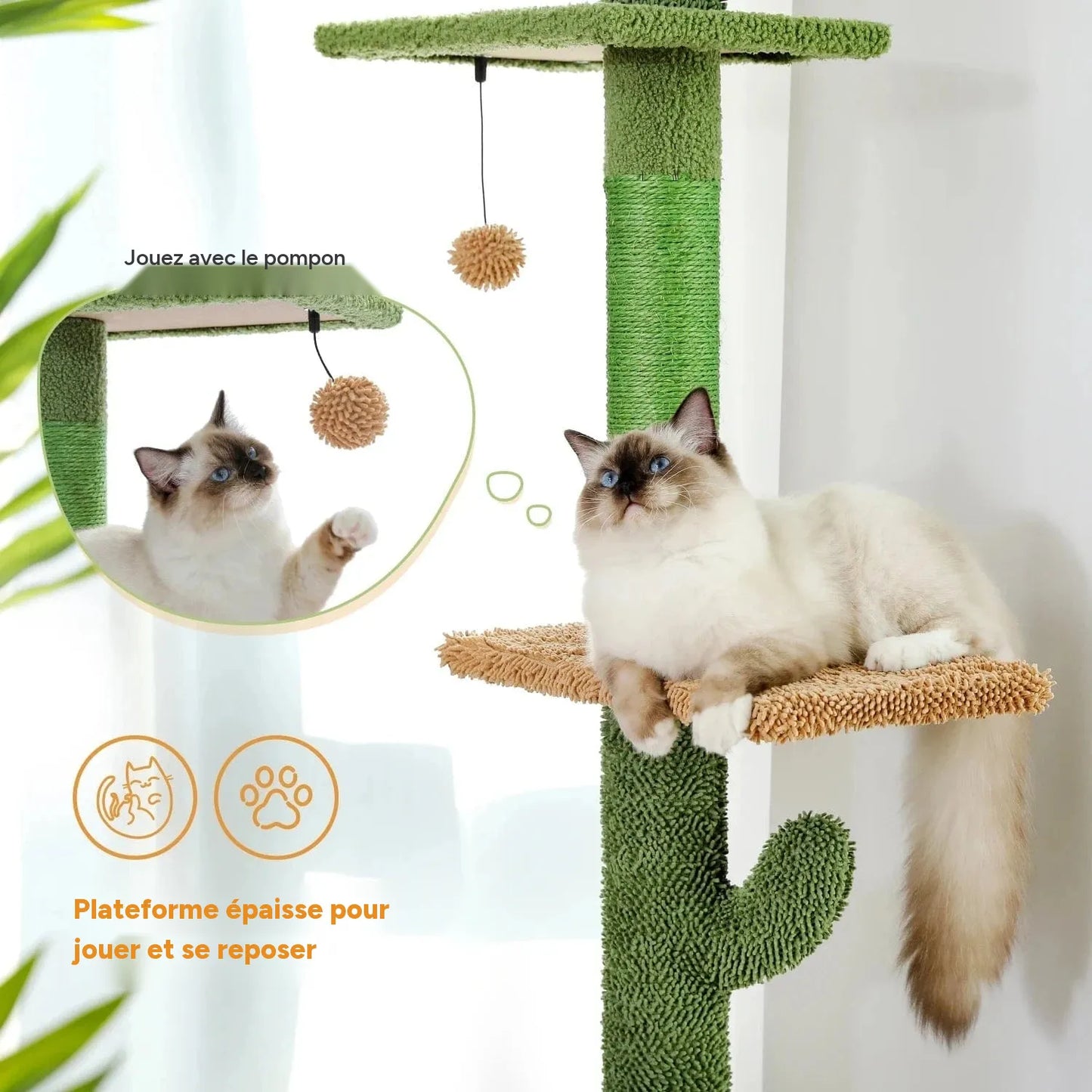 Arbre à chat à 5 niveaux du sol au plafond