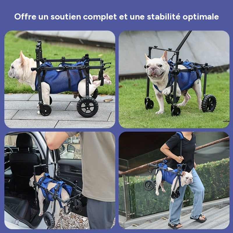 Fauteuil roulant pour chien – Mobilité, rééducation & confort optimal – One PETS-TOP – vue 5