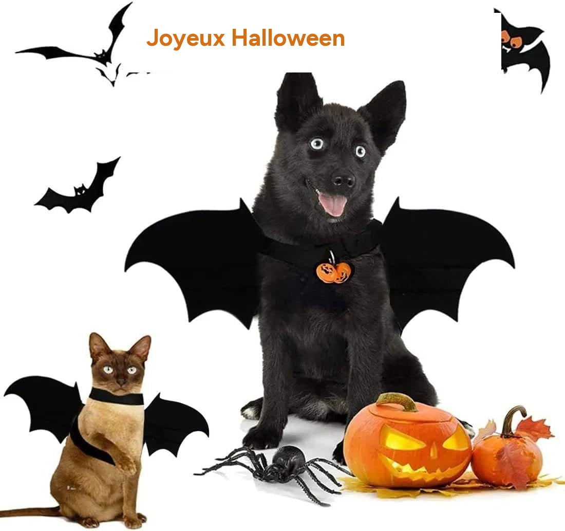 Ailes De Chauve-Souris Canines : Bell-O-Ween 🎃 - One PETS-TOP – détail
