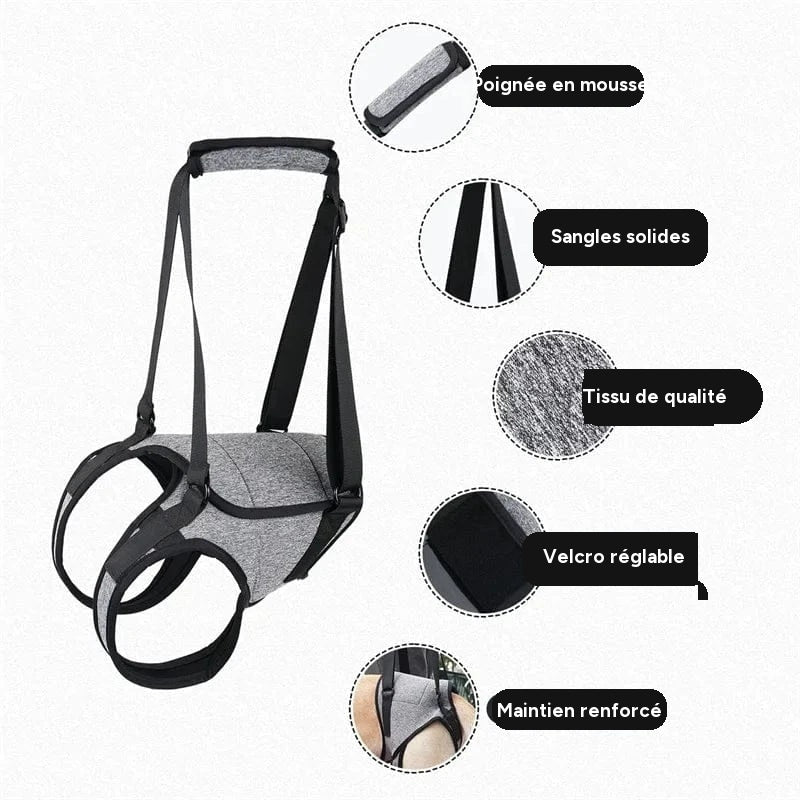 Harnais de levage réglable pour grands chiens – Support jambes arrière - One PETS-TOP – vue 5