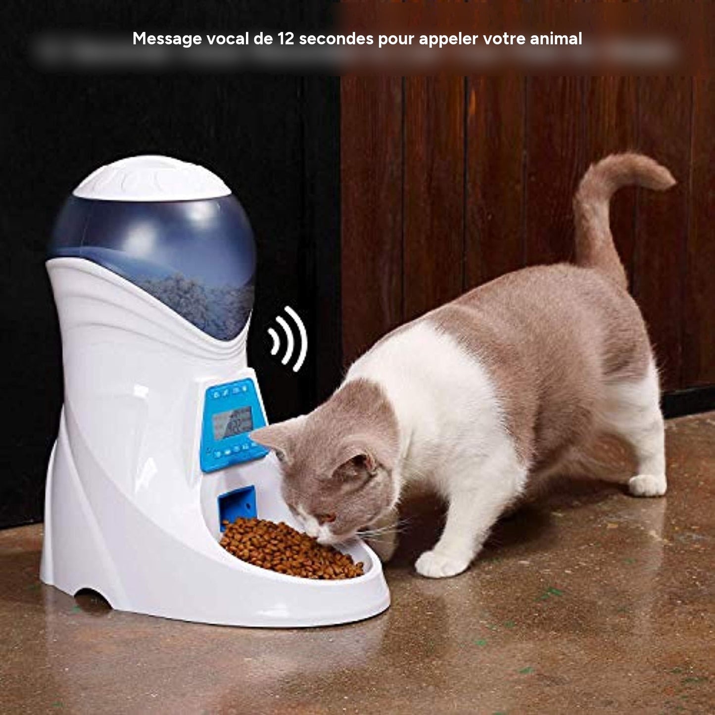 Distributeur automatique pour animaux domestiques 6 repas chien