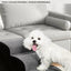 Rampe d'escalier lavable pour animaux – vue 6