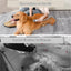 Machine de toilettage 7-en-1 chien et chat – détail