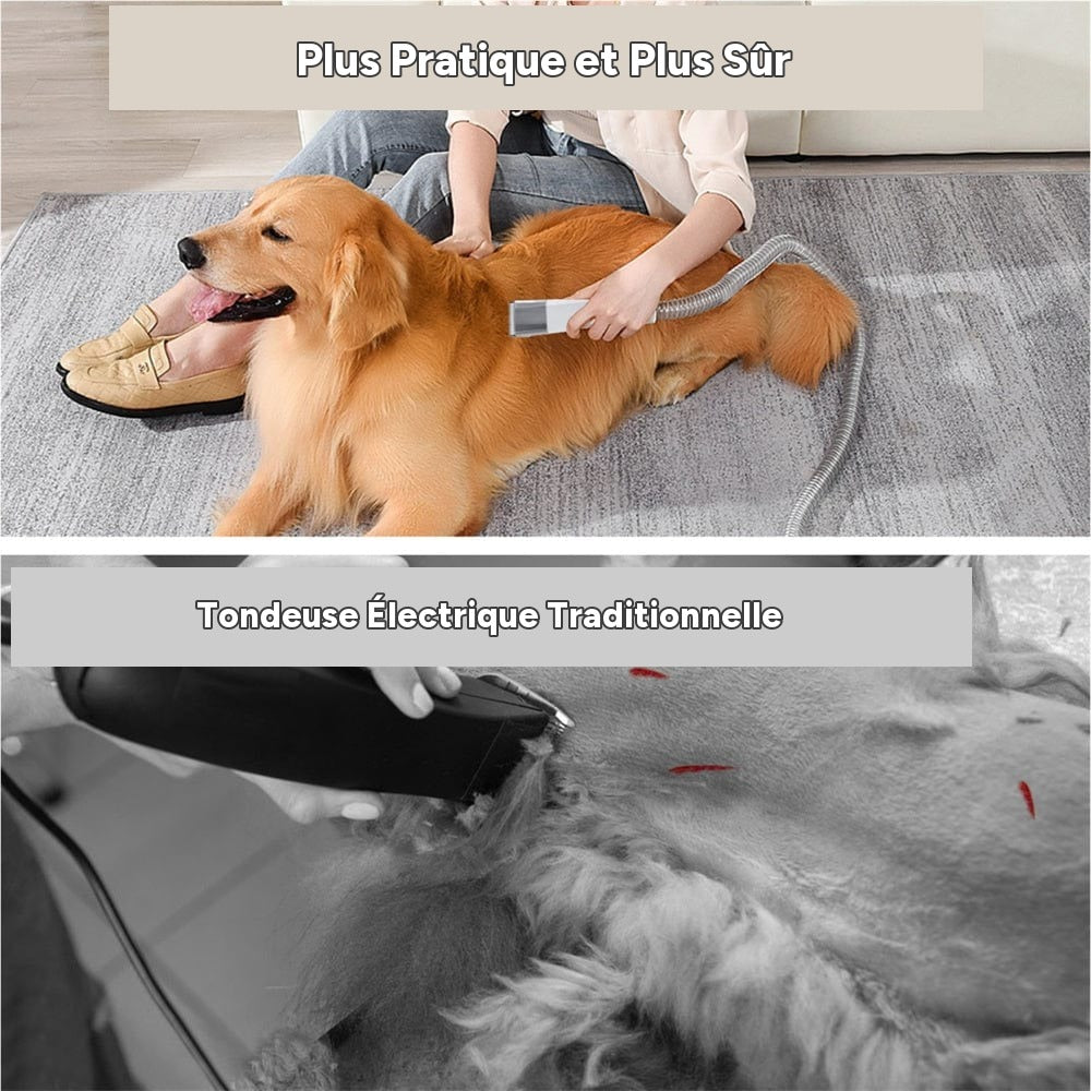 Machine de toilettage 7-en-1 chien et chat – détail