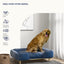 Canapé premium pour grand chien, lit surélevé, coussin lavable – en situation