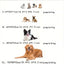 Lit ovale pour chien/chat, coussin orthopédique toutes saisons – vue 5
