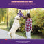 Ballon de foot pour chien resistant - jouet interactif avec sangles – vue 6