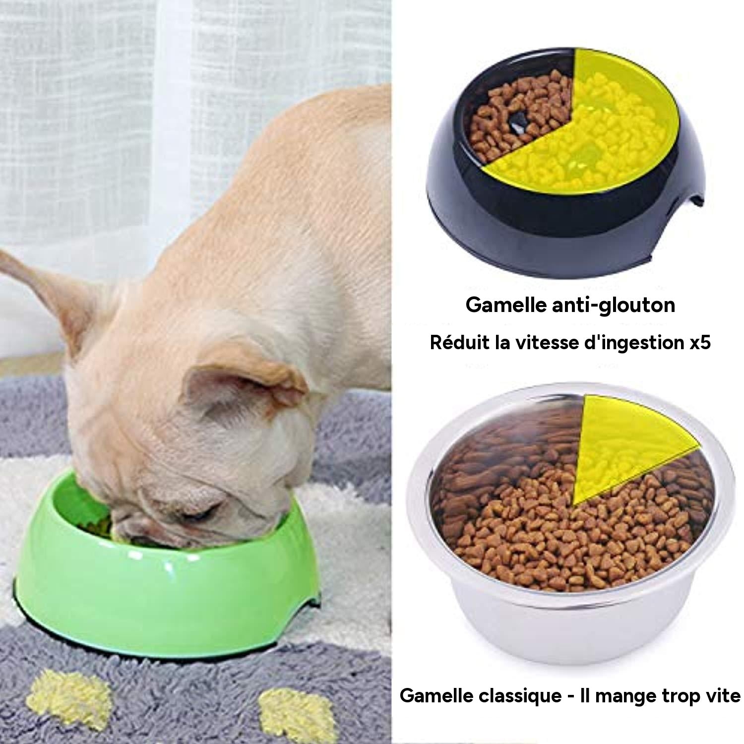 Digestidélice - la gamelle anti-glouton pour petits chiens et chats