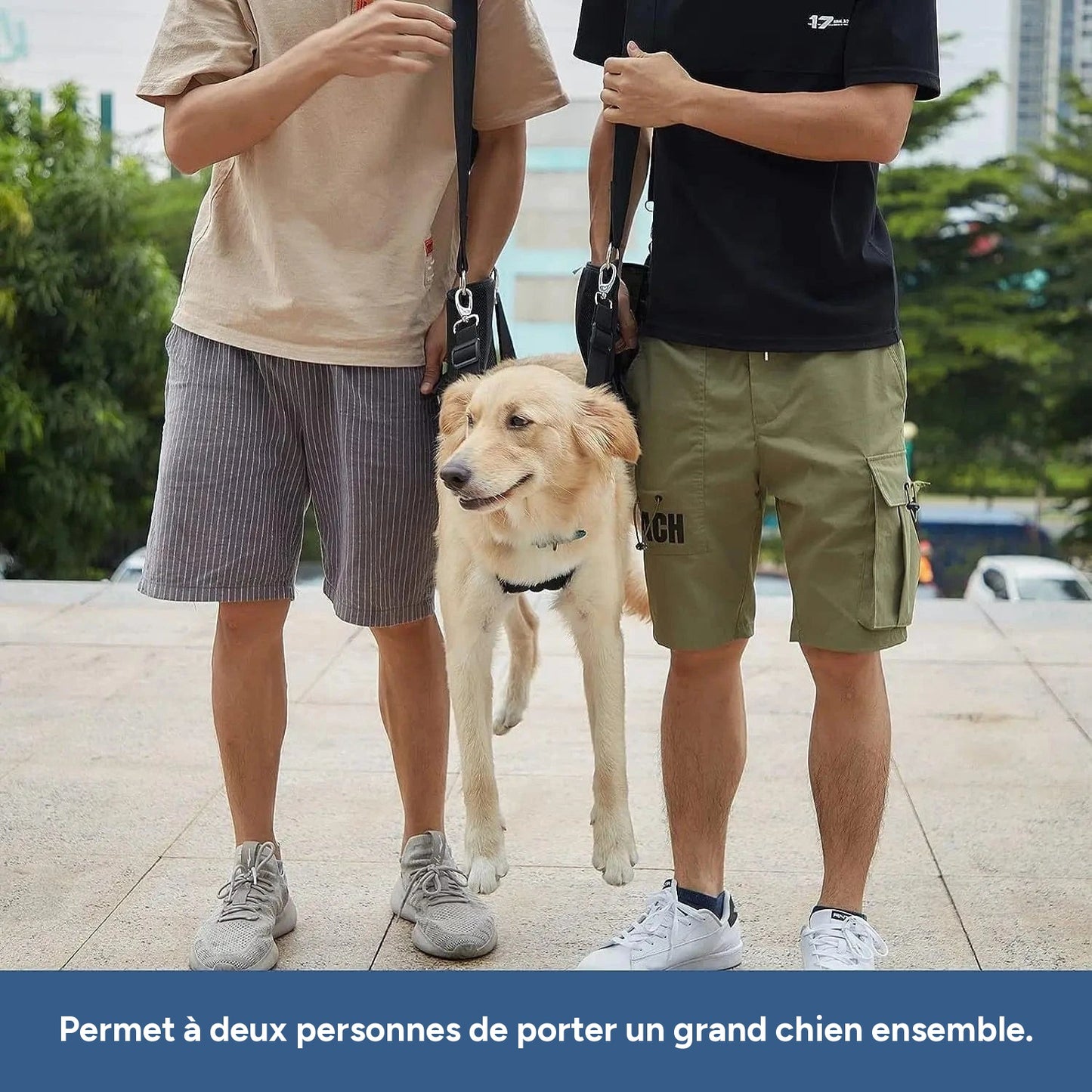 Harnais de soutien chien âgé – Aide marche & récupération - One PETS-TOP – vue 8