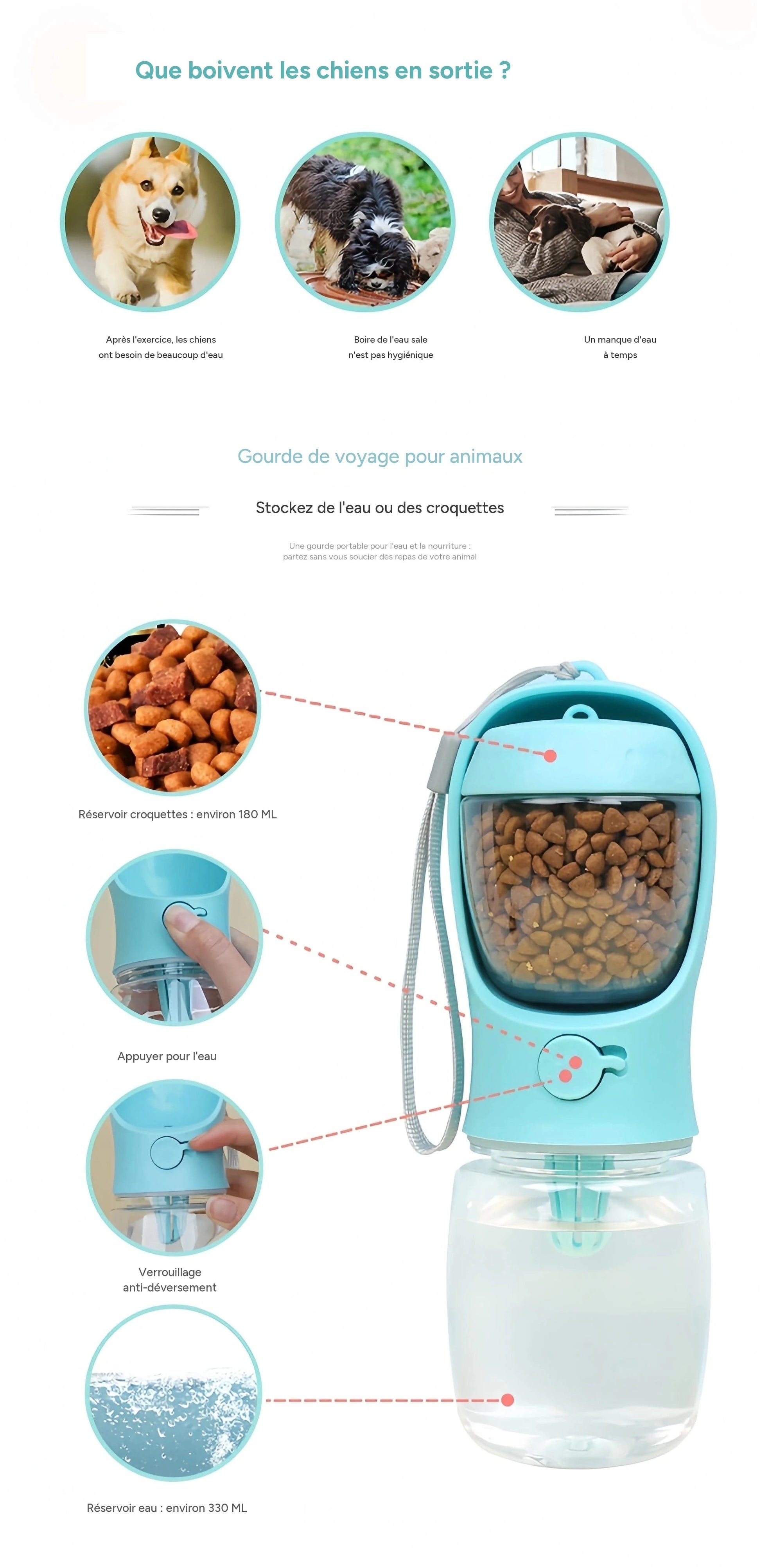 Bouteille d'eau portable 2-en-1 pour chiens et chats en balade