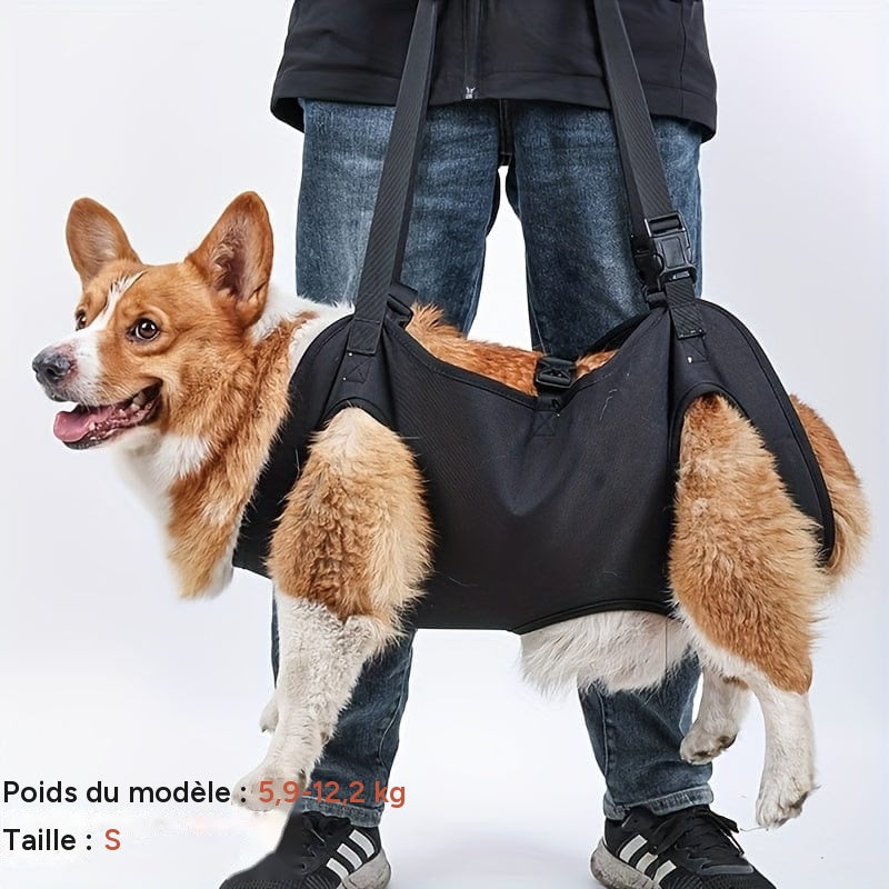 Harnais de soutien pour chien – Aide à la marche, rééducation & levage – One PETS-TOP – vue 9