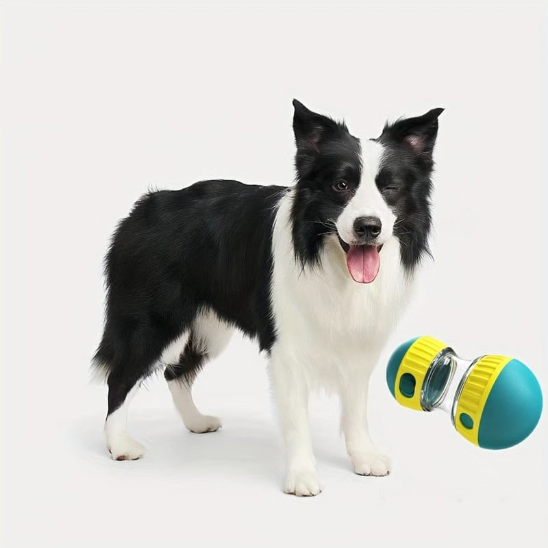 Jouet interactif pour chien – Balle distributrice de friandises éducative One PETS-TOP