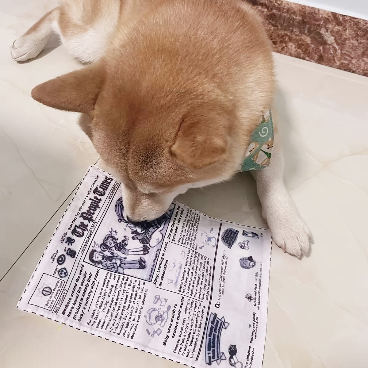 Jouet interactif pour chien – Imitation journal & cartes de poker - One PETS - TOP