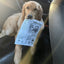 Jouet interactif pour chien – Imitation journal & cartes de poker One PETS-TOP