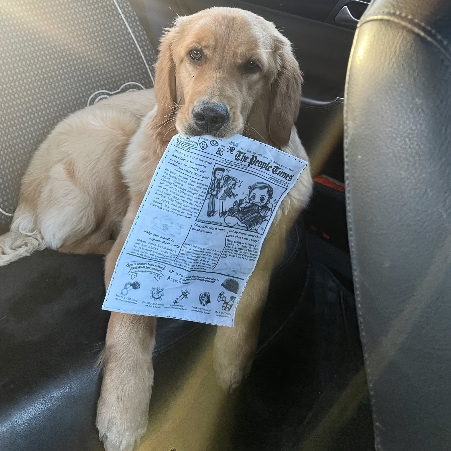 Jouet interactif pour chien – Imitation journal & cartes de poker One PETS-TOP