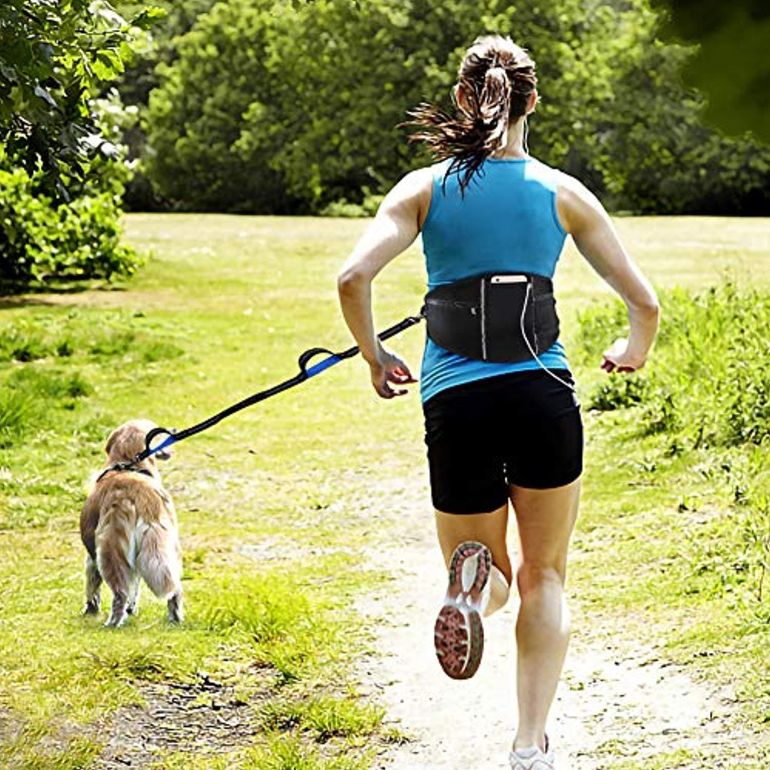 Laisse Pour Chien, Laisse Corde, Laisse Chien Main Libre, Flexible Nylon Élastique Réglable, Réfléchissante, Pochette Ajustable Pour Deux Chiens Grands Ou Moyens, Idéal Pour Course À Pied - One PETS - TOP