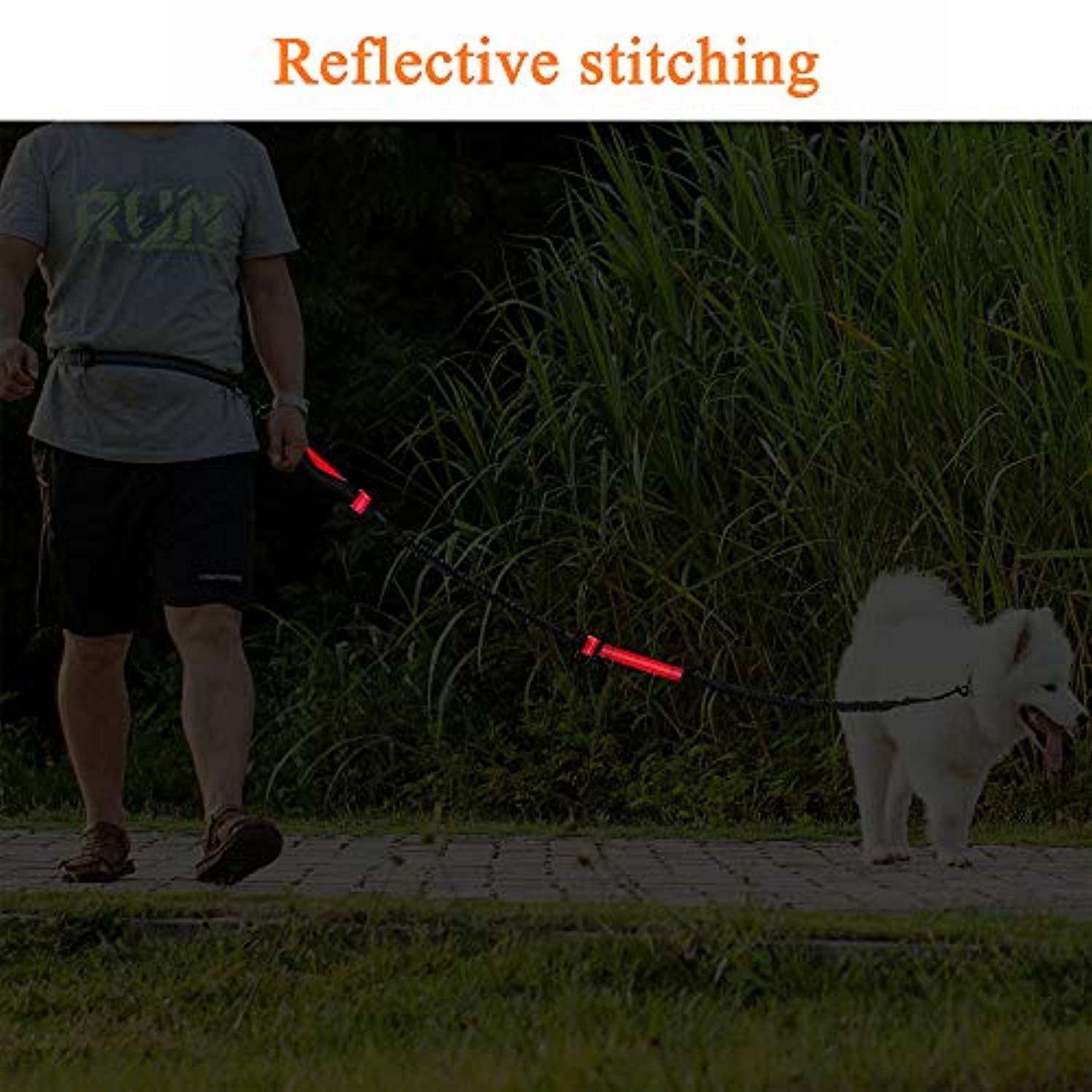 Laisse Pour Chiens Mains Libres Rétractables Avec Deux Elastiques, Laisse Ajustable, Laisse Avec Matériau Réfléchissant Pour Le Jogging, La Randonnée, Le Vélo - One PETS - TOP