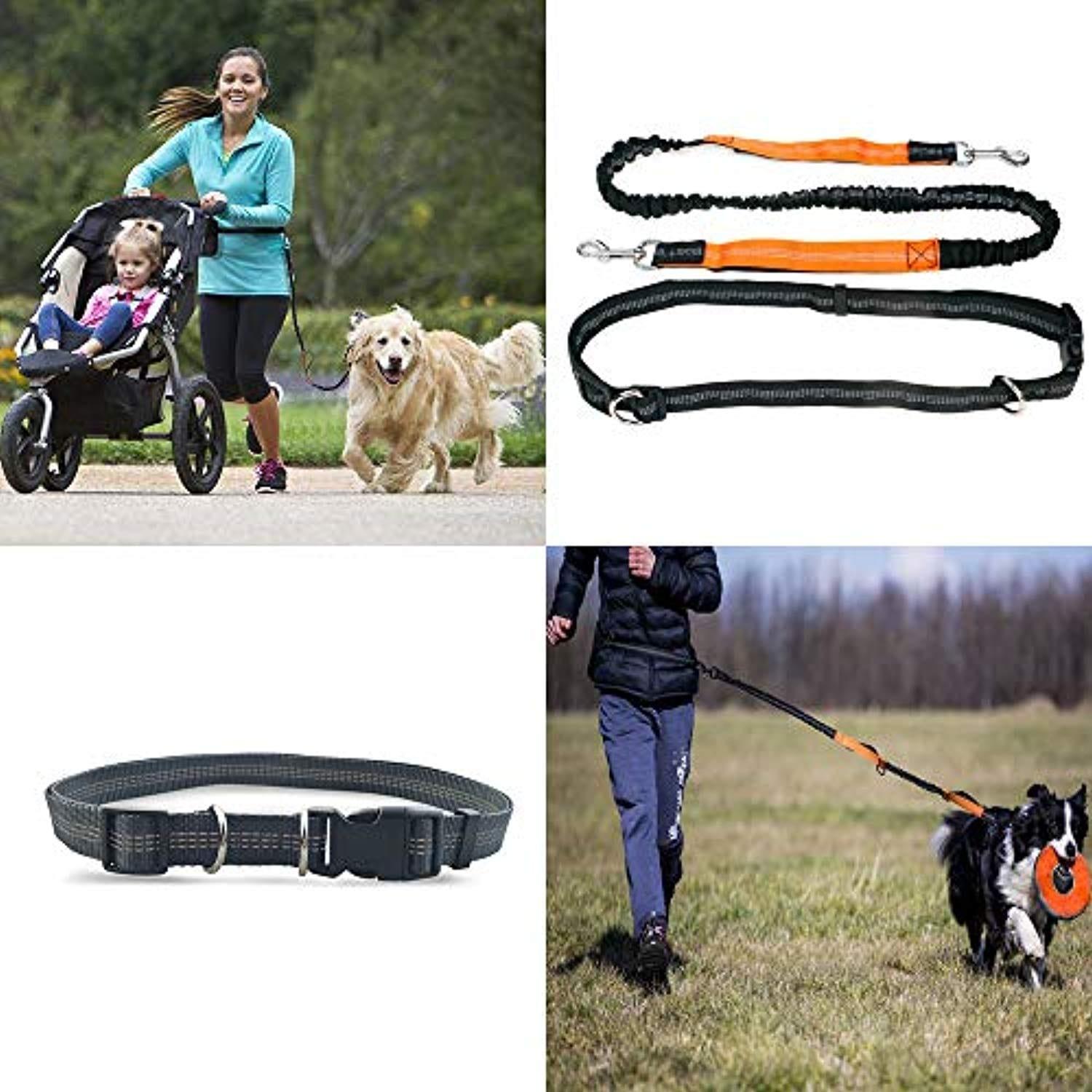 Laisse Pour Chiens Mains Libres Rétractables Avec Deux Elastiques, Laisse Ajustable, Laisse Avec Matériau Réfléchissant Pour Le Jogging, La Randonnée, Le Vélo One PETS-TOP