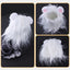 Lion King Cat Costume 🦁🐱 - One PETS - TOP