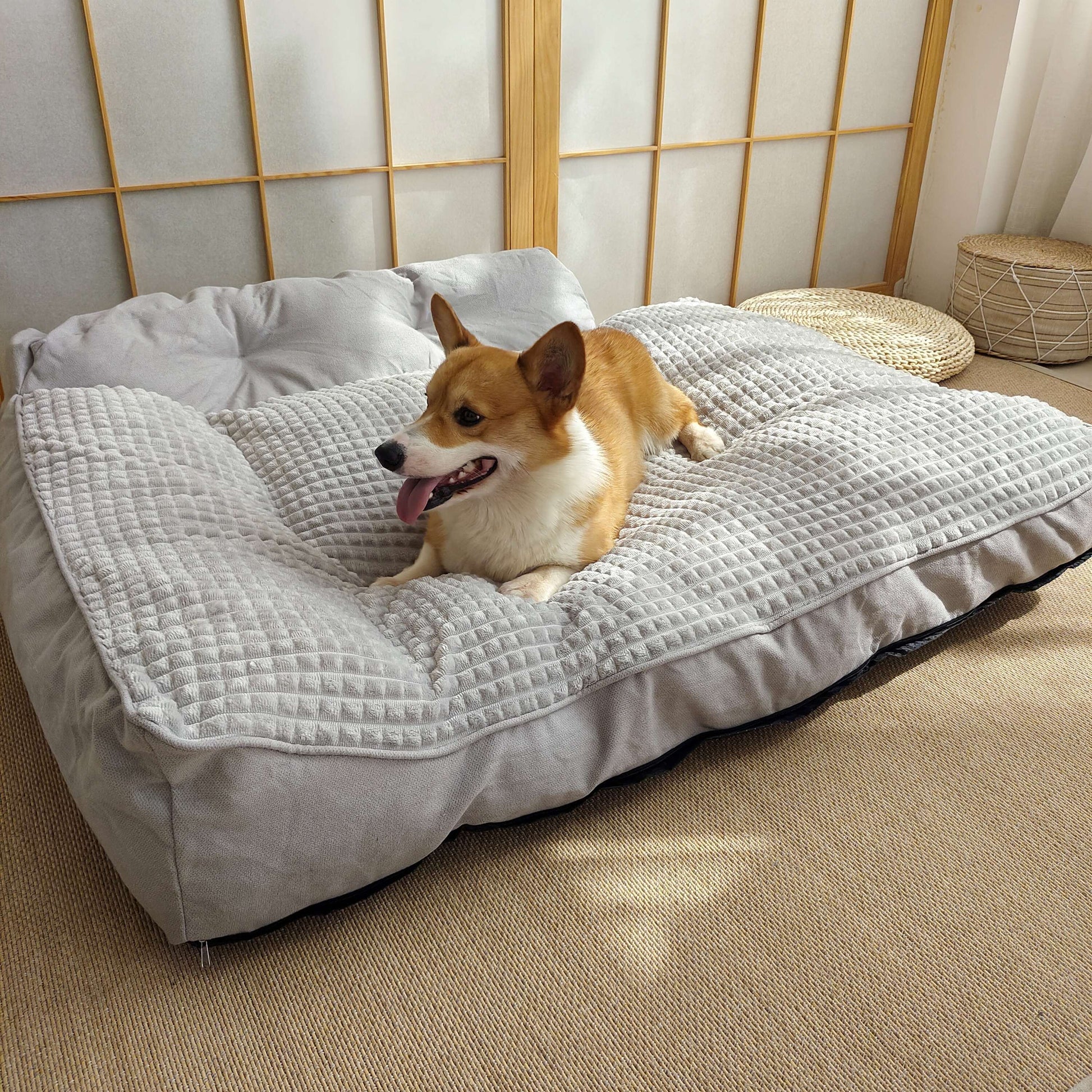 Lit orthopédique XL pour chien – Sofa luxe, housse lavable & confort ultime - One PETS - TOP